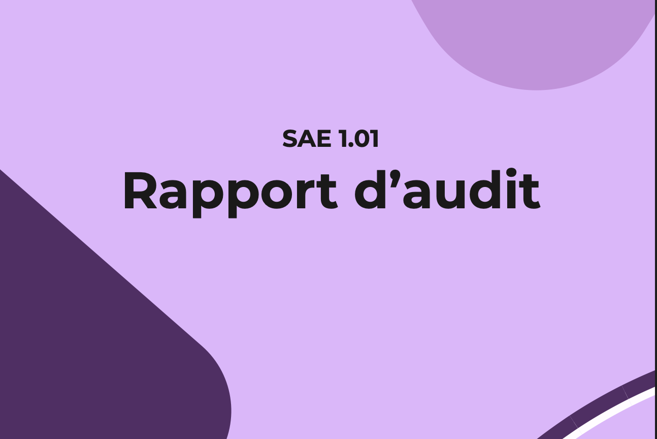Rapport d'audit